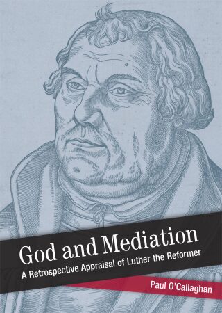 Cover image: God and Mediation: Retrospective Appraisal of Luther the Reformer 9781506410111