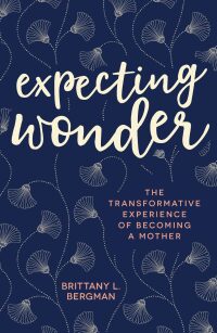 Cover image: Expecting Wonder 9781506458908