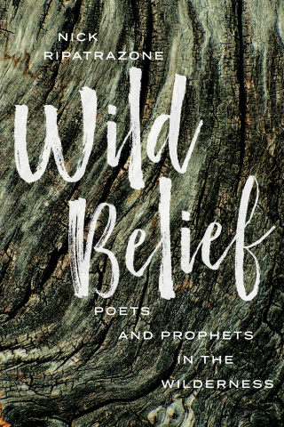 Titelbild: Wild Belief 9781506464633