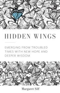 Cover image: Hidden Wings 9781506462011