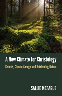 Omslagafbeelding: A New Climate for Christology 9781506478739