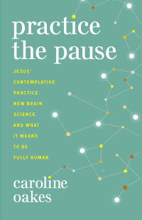 Immagine di copertina: Practice the Pause 9781506483078