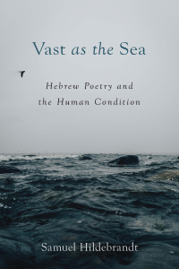 Immagine di copertina: Vast as the Sea 9781506485492