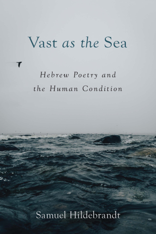 Cover image: Vast as the Sea: Hebrew Poetry and the Human Condition 9781506485492
