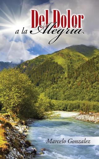 Cover image: Del Dolor a La Alegría 9781506512662