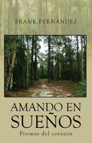Cover image: Amando En Sueños 9781506520216