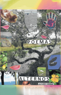 Cover image: Poemas Alternos 9781506531748