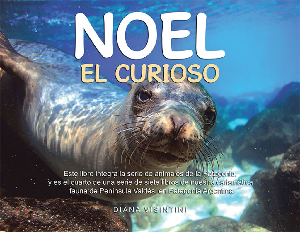 Noel el curioso