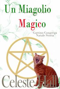 Cover image: Un Miagolio Magico 9781507160695