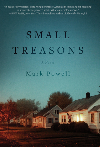 Cover image: Small Treasons 9781507203378