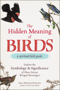 Cover image: The Hidden Meaning of Birds--A Spiritual Field Guide 9781507210260