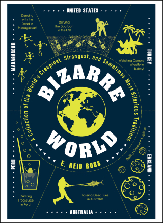 Cover image: Bizarre World 9781507210789