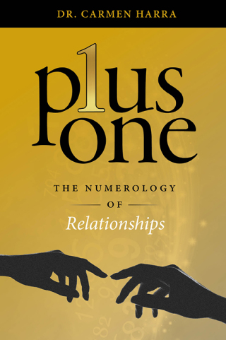 Imagen de portada: Plus One 9780764367656