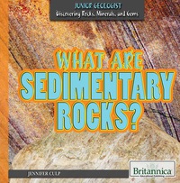 Cover image: What Are Sedimentary Rocks? 1st edition 9781680482416