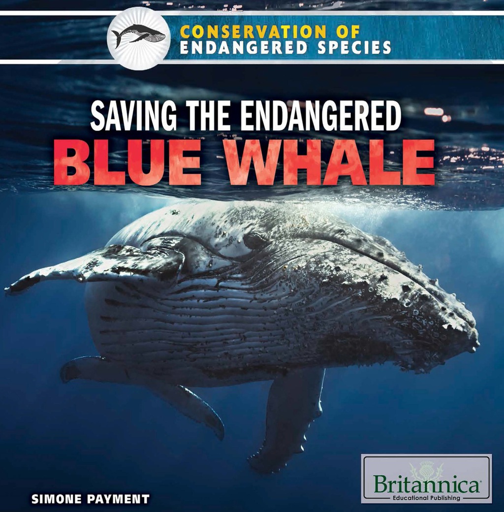 Saving the Endangered Blue Whale 1st Edition