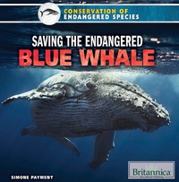 Omslagafbeelding: Saving the Endangered Blue Whale 1st edition 9781680482478