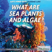 صورة الغلاف: What Are Sea Plants and Algae? 1st edition 9781508103929