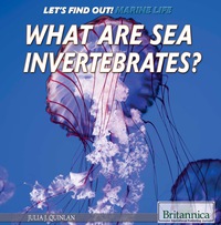 Imagen de portada: What Are Sea Invertebrates? 1st edition 9781508103899