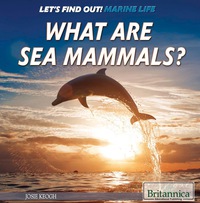 Imagen de portada: What Are Sea Mammals? 1st edition 9781680486056