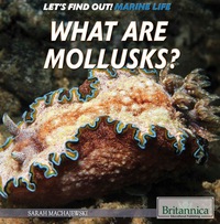 Cover image: What Are Mollusks? 1st edition 9781508103875