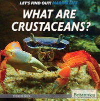صورة الغلاف: What Are Crustaceans? 1st edition 9781508103851