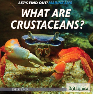 Cover image: What Are Crustaceans? 1st edition 9781508103851