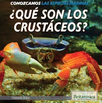 صورة الغلاف: ¿Qué son los crustáceos? (What Are Crustaceans?) 1st edition 9781508104964