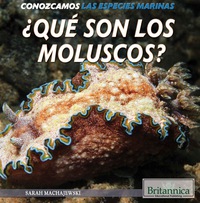 Cover image: ¿Qué son los moluscos? (What Are Mollusks?) 1st edition 9781508105008