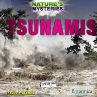 Cover image: Tsunamis 1st edition 9781508106654