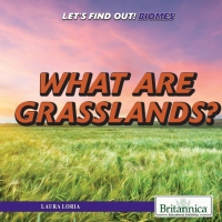 صورة الغلاف: What Are Grasslands? 1st edition 9781508106968
