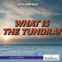 Cover image: What Is the Tundra? 1st edition 9781508106999