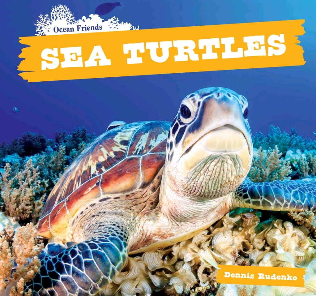 Sea Turtles (eBook)