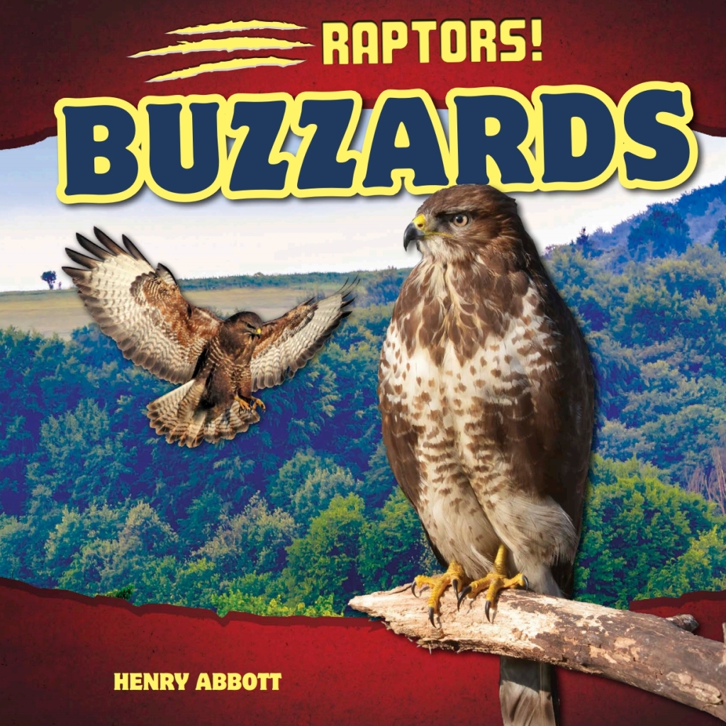 Buzzards (eBook)