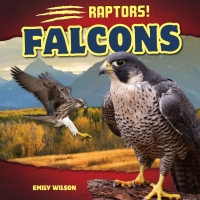 Cover image: Falcons 9781508142454