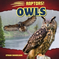 Cover image: Owls 9781508142522