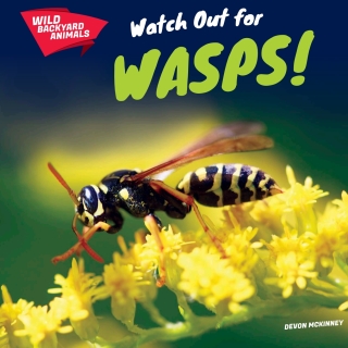 Titelbild: Watch Out for Wasps! 9781508142829