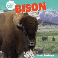 Cover image: Bison 9781508142898