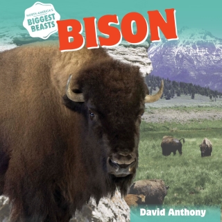 表紙画像: Bison 9781508142898