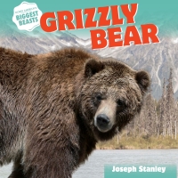 Imagen de portada: Grizzly Bear 9781508142997