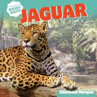 صورة الغلاف: Jaguar 9781508143055