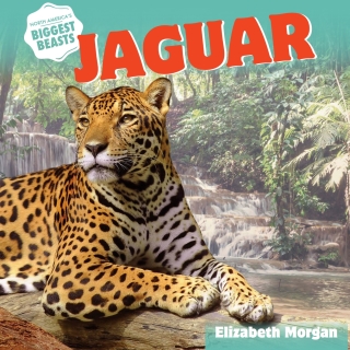 Imagen de portada: Jaguar 9781508143055