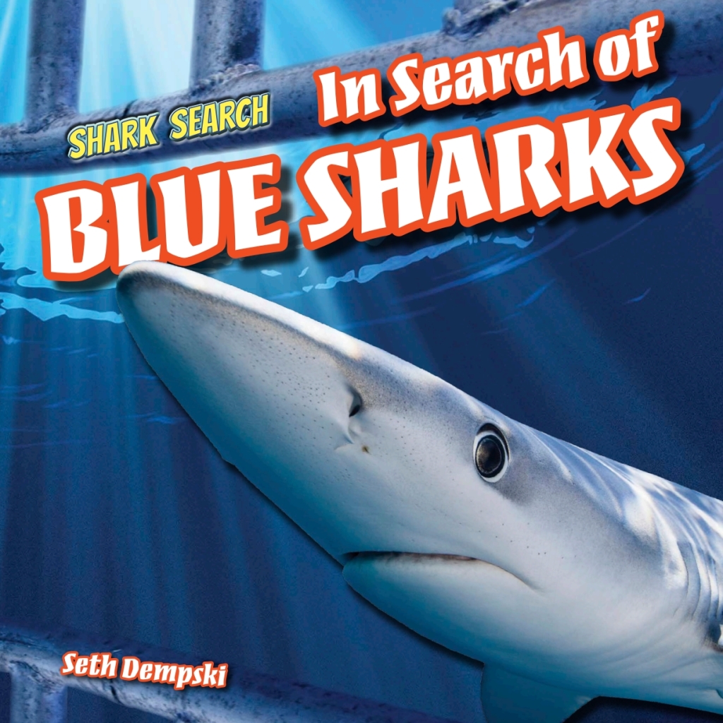 In Search of Blue Sharks