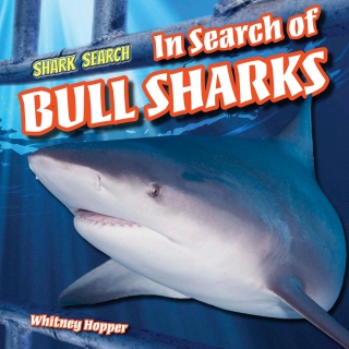 Imagen de portada: In Search of Bull Sharks 9781508143376