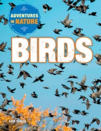 Cover image: Birds 9781508145776