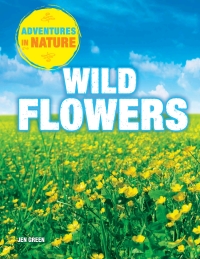 Imagen de portada: Wild Flowers 9781508145967