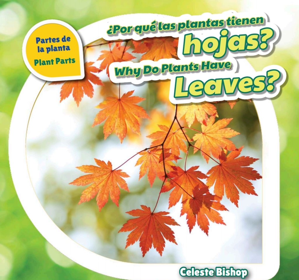 ¿Por qué las plantas tienen hojas? / Why Do Plants Have Leaves?