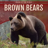 Imagen de portada: Brown Bears 9781499420388