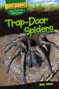 Imagen de portada: Trap-Door Spiders 9781499420685