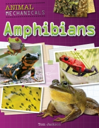 Cover image: Amphibians 9781508150213
