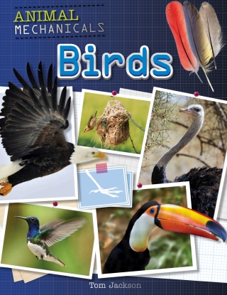 Cover image: Birds 9781508150220